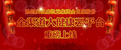 全日康上线